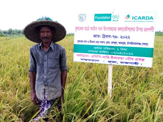 Farmer in Aus rice field