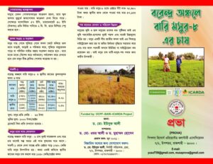 Lentil-1-leaflet-PROVA-21