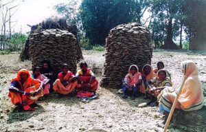 PROVA-Climate change work with Santal at Rajshshi